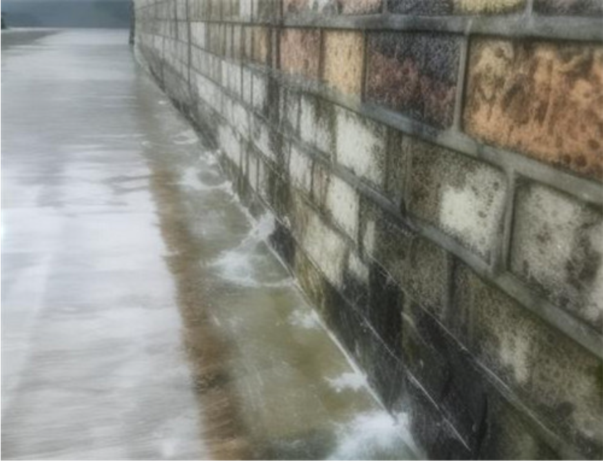 1724205017543646.png image.png