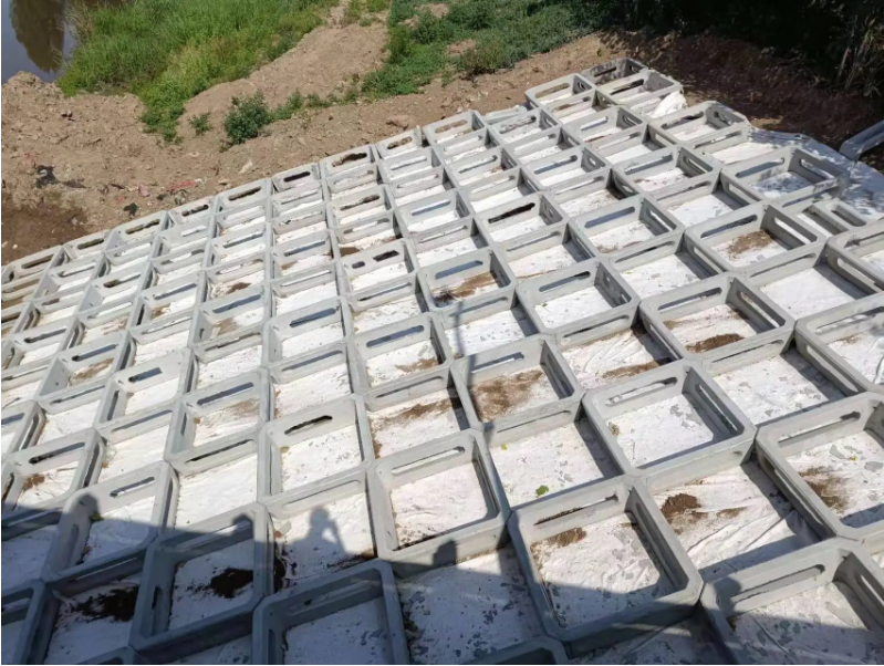 1728718223390483.png image.png