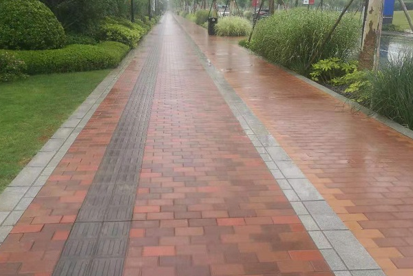 1731468051494204.png image.png